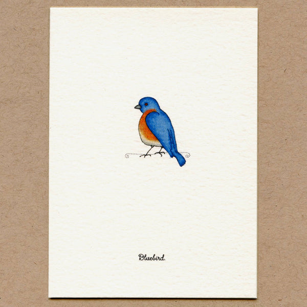 Birds Greeting Cards Set.