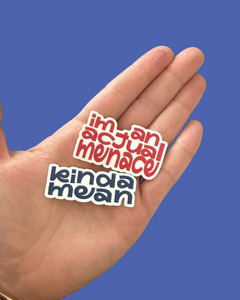 Funny Vinyl Sticker High Quality for Water Bottles, Laptops