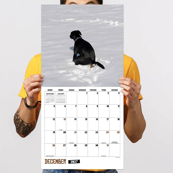 2027 Pooping Dogs Wall Calendar