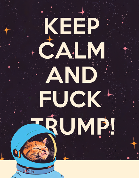 KEEP CALM SPACE CAT political greeting card