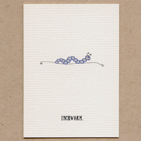 A Box Of Tiny (Cute) Bug Greeting Cards.