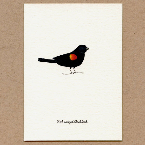 Birds Greeting Cards Set.