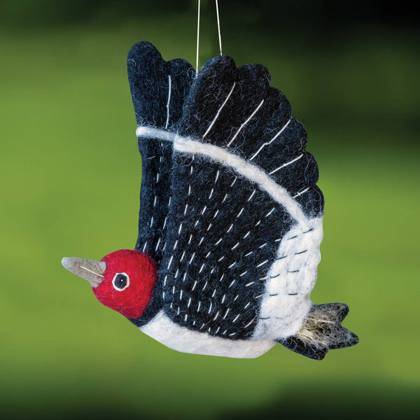 Woolie Bird: Red-Headed Woodpecker