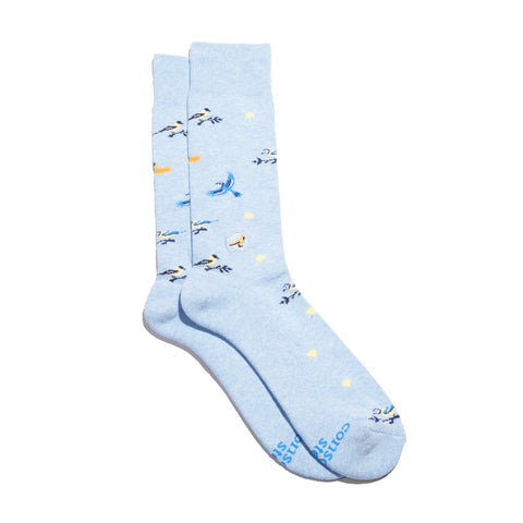 Socks that Protect Songbirds: Medium