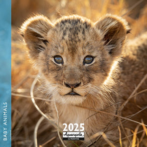 Baby Animals Calendars 2025