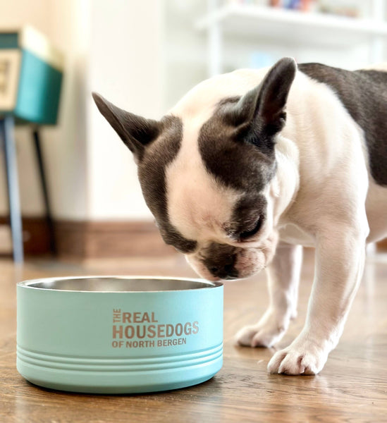 The Real Housecats of OMAHA Pet Bowl Teal / 18 oz