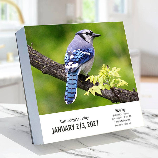 2027 Birds: Backyard & Beyond Daily Desktop Calendar