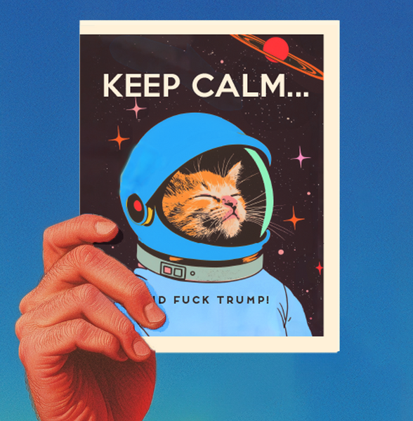 KEEP CALM SPACE CAT political greeting card