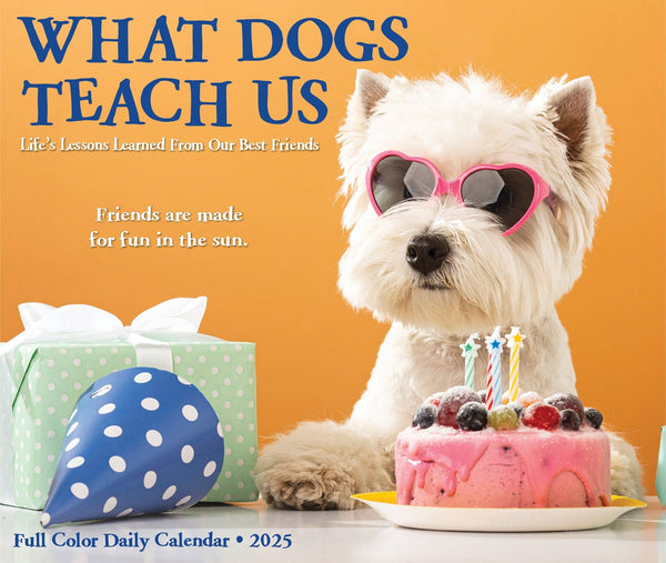 What Dogs Teach Us 2025 Box Calendar