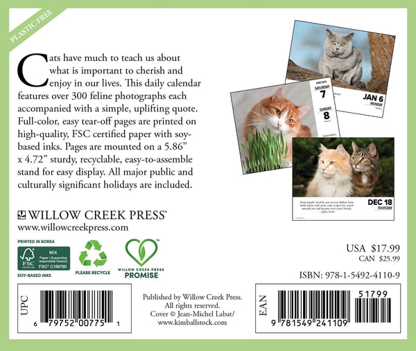 What Cats Teach Us 2025 Box Calendar