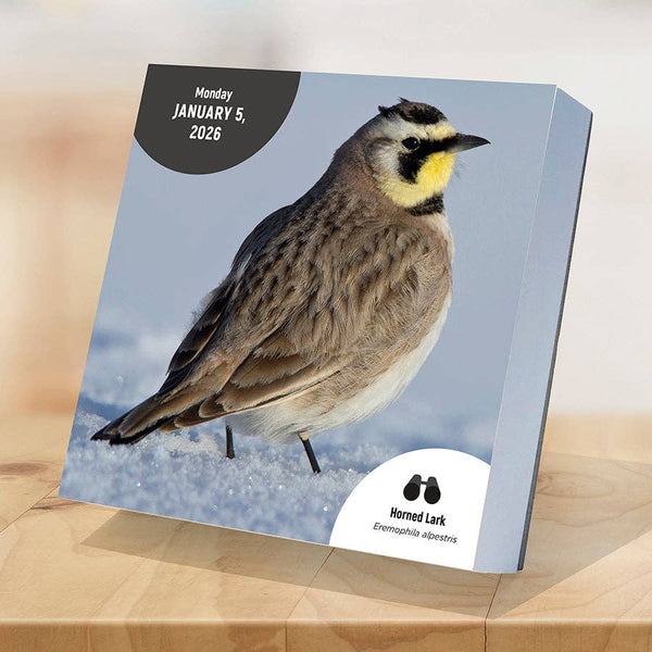 2026 Birds: Backyard & Beyond Daily Desktop Calendar