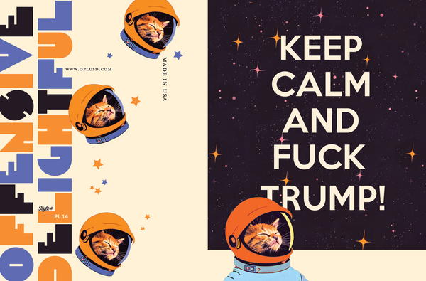 KEEP CALM SPACE CAT political greeting card