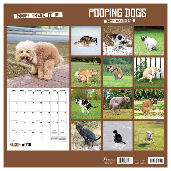 2027 Pooping Dogs Wall Calendar
