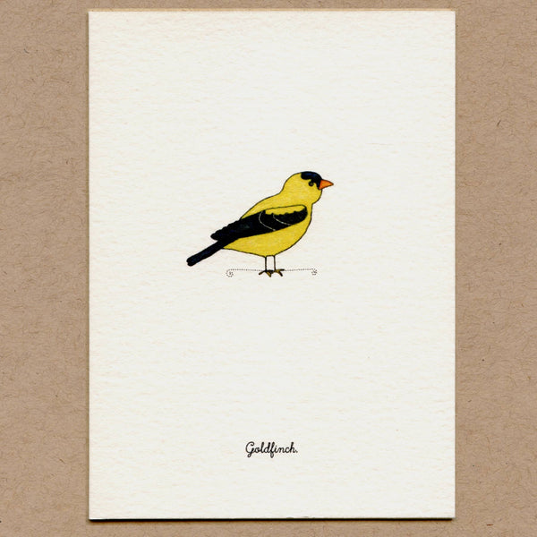 Birds Greeting Cards Set.