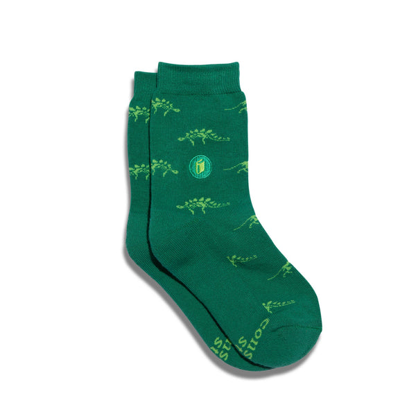 Kids Socks that Give Books | Green Dinosaurs: Toddler