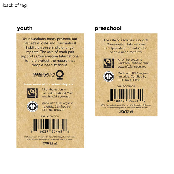 Kids Socks that Protect Polar Bears: Preschool