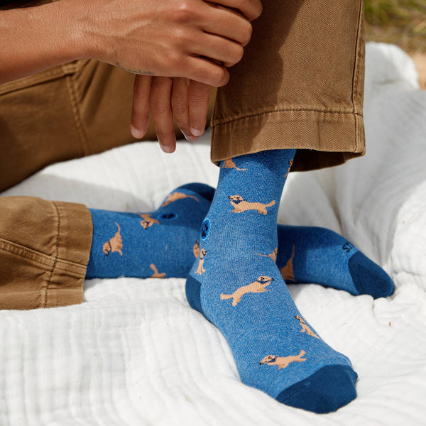Socks that Save Dogs (Blue Golden Retrievers): Small