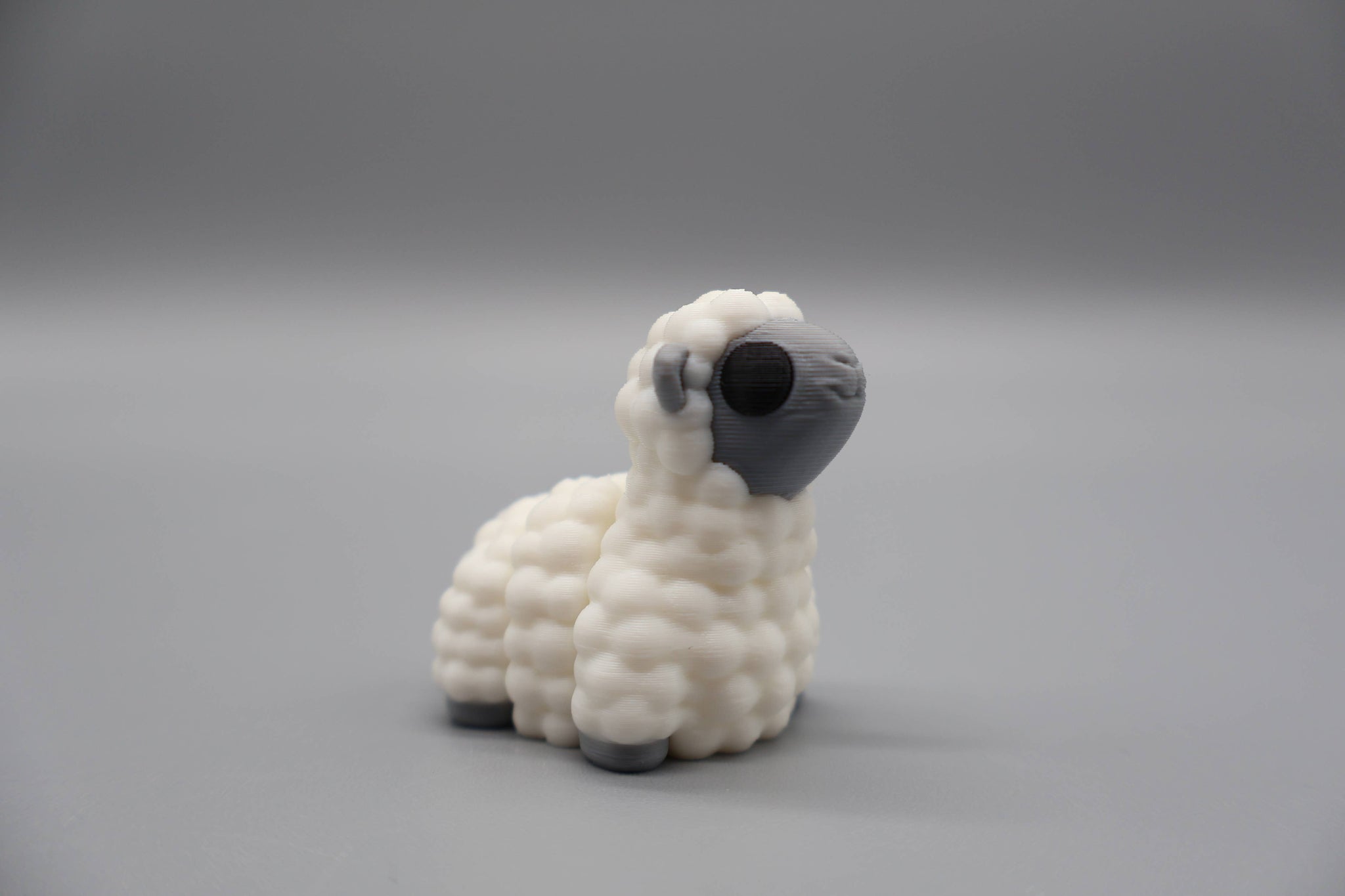 Mini Sheep
