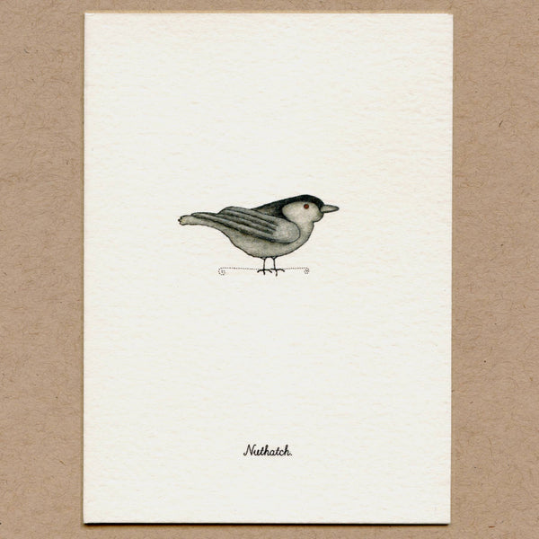 Birds Greeting Cards Set.