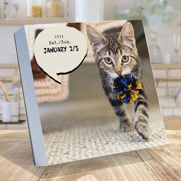 2027 Cat A Day Daily Desktop Calendar