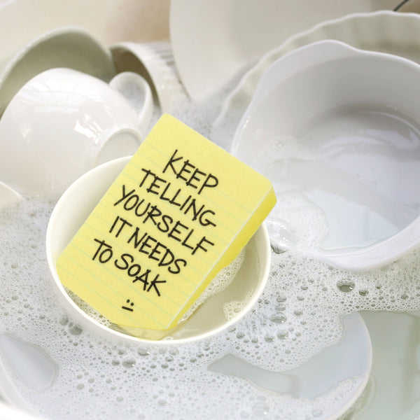 Sponges - CLEAN CONSCIENCE - Passive Aggressive Notes