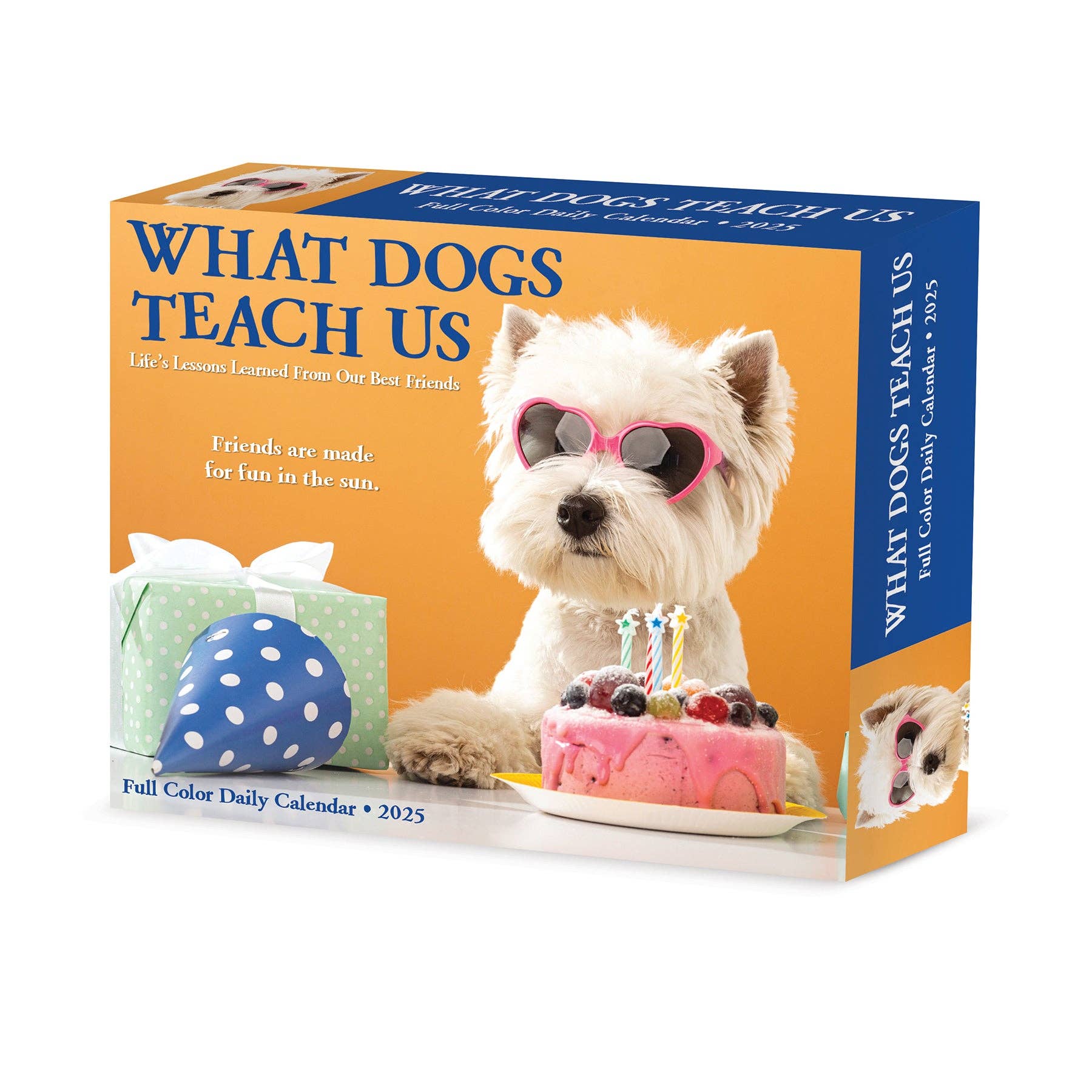 What Dogs Teach Us 2025 Box Calendar