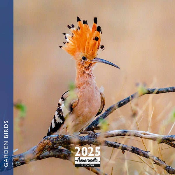 Garden Birds Calendars 2025