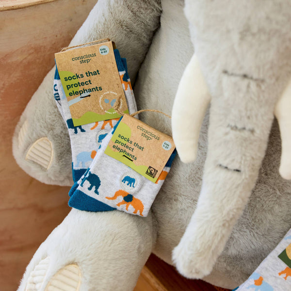Kids Socks that Protect Elephants: Preschool