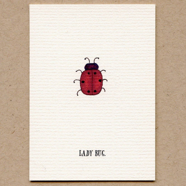 A Box Of Tiny (Cute) Bug Greeting Cards.