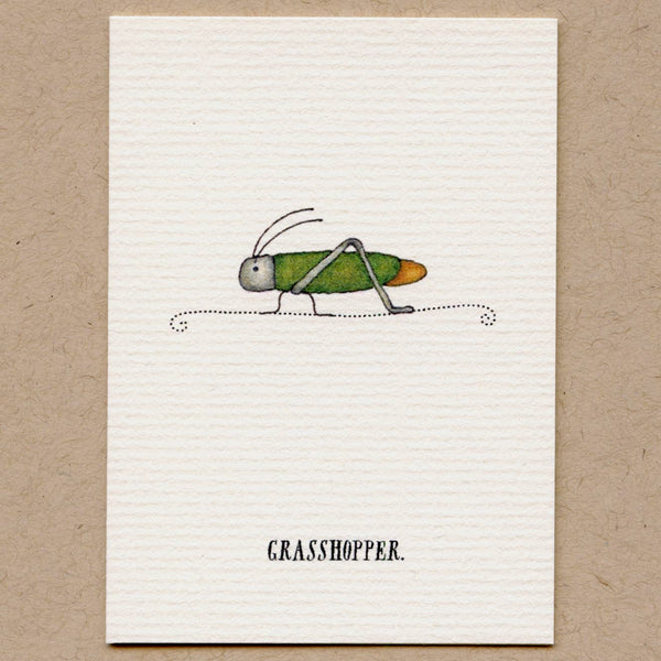 A Box Of Tiny (Cute) Bug Greeting Cards.