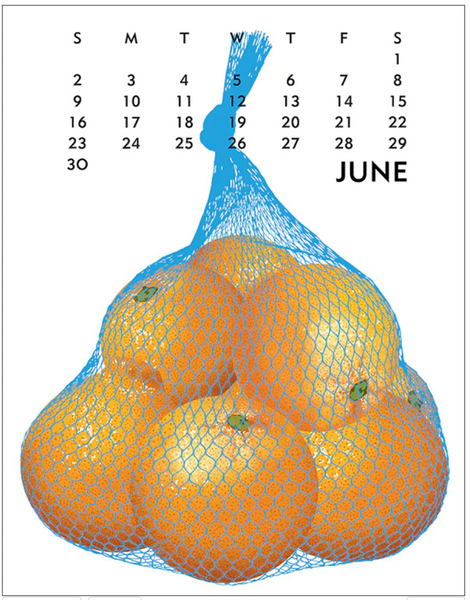 Linnea Design 2024 Poster Calendar