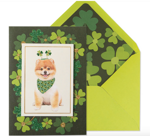 POMERANIAN SAINT PATRICKS DAY