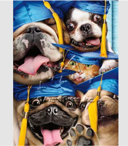 DOG & CAT GRADS IN PHOTO BOOTH GRADUATION