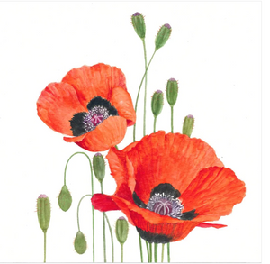 Poppies Beverage Napkin