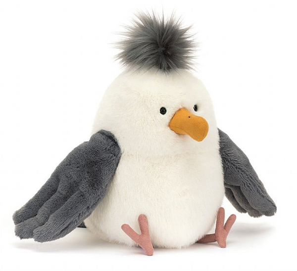 Chip Seagull