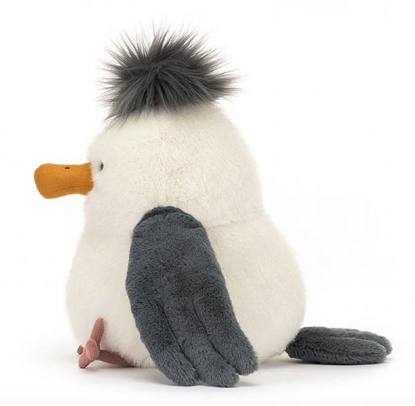 Chip Seagull