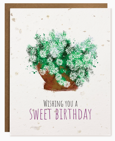 Toka | Sweet Birthday | Plantable Card