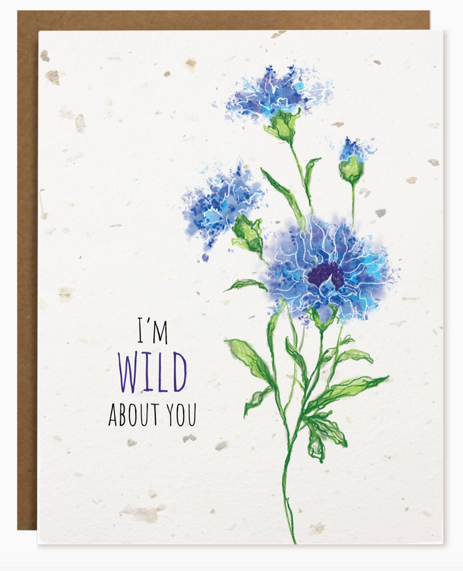 Greeting Cards