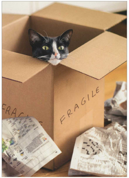 Cat in a Brown Box New Home Card