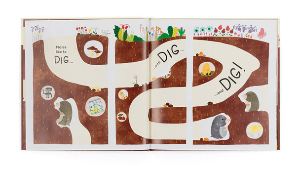 Muswell Mole and the Buried Treasure Book