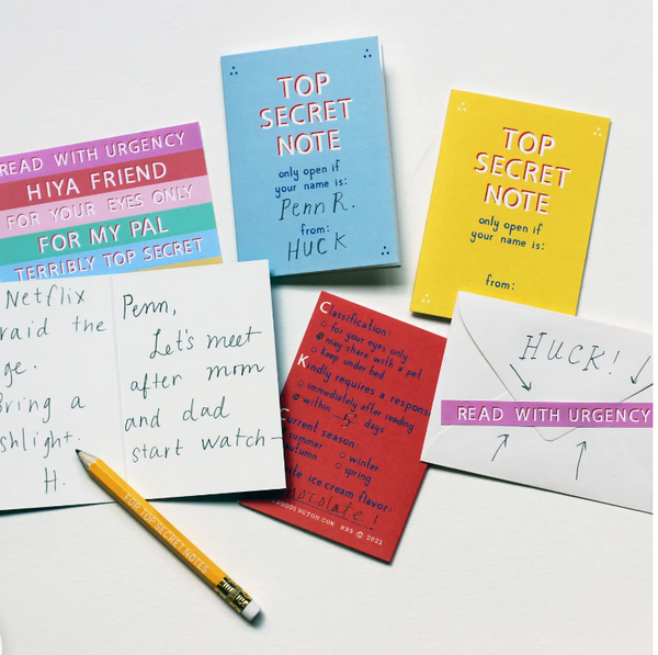 Top Secret Friendship Notes Set