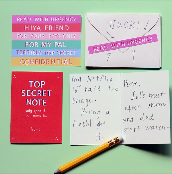 Top Secret Friendship Notes Set