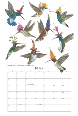 Vicki Sawyer 2026 Art Wall Calendar