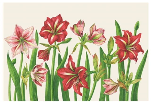 Amaryllis Blooms Placemats - Pad of 18 Sheets
