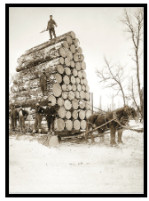 Loggers Big Load Birthday