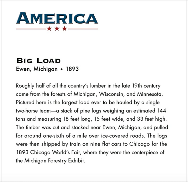 Loggers Big Load Birthday