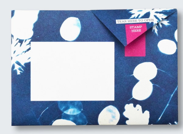 Apothecary Pigeon Botanical Folding Letter Set - Pack of 6