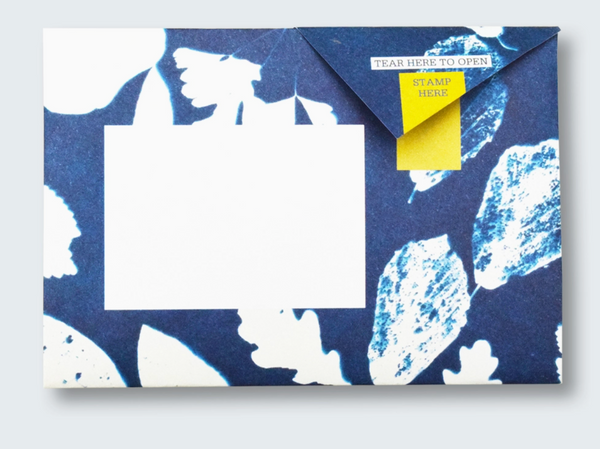 Apothecary Pigeon Botanical Folding Letter Set - Pack of 6