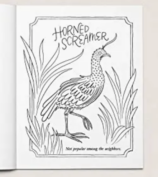 30 Dirty Birdies: An Adult Coloring Book