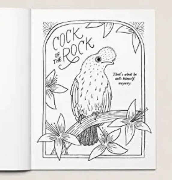 30 Dirty Birdies: An Adult Coloring Book